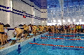 с 8 по 9 декабря 2012 года в Академии прошло Первенство вузов Москвы по плаванию 2012