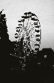 Боровикова Екатерина. Ferris Wheel