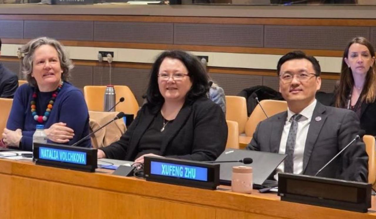 Проректор ВАВТ Наталья Волчкова обозначила в ООН торговые риски для наименее развитых стран