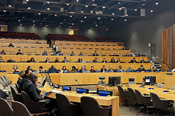 Проректор ВАВТ Наталья Волчкова обозначила в ООН торговые риски для наименее развитых стран