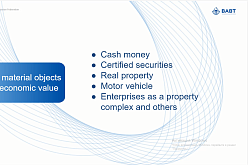 Юридическая клиника ВАВТ в рамках знакомства с российской правовой системой провела открытый онлайн семинар на английском языке для иностранных студентов