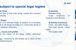 Юридическая клиника ВАВТ в рамках знакомства с российской правовой системой провела открытый онлайн семинар на английском языке для иностранных студентов