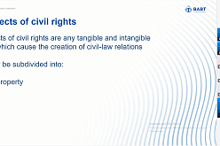 Юридическая клиника ВАВТ в рамках знакомства с российской правовой системой провела открытый онлайн семинар на английском языке для иностранных студентов