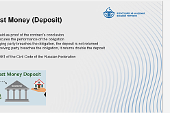 Юридическая клиника ВАВТ в рамках знакомства с российской правовой системой провела открытый онлайн семинар на английском языке для иностранных студентов