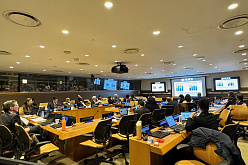 Проректор ВАВТ Наталья Волчкова обозначила в ООН торговые риски для наименее развитых стран