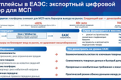 ПМЭФ-2026: ректор ВАВТ Виттория Идрисова назвала главные барьеры для развития международной электронной торговли